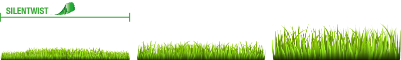 grass-trimmer-line-silentwist