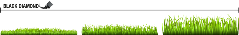 grass-trimmer-line-black-diamond